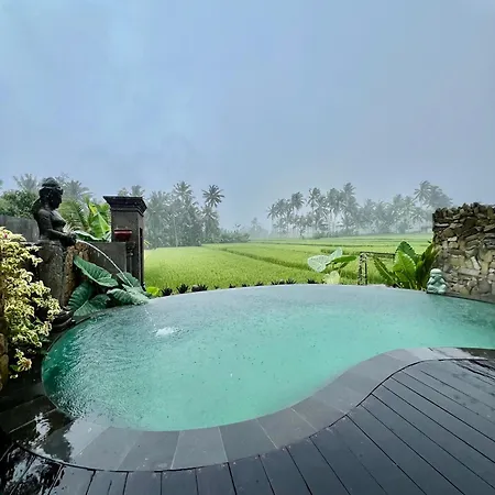 Aix Di Sawah Ubud
